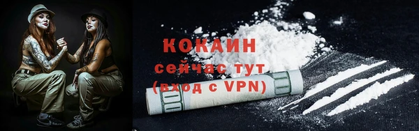 ГАЛЛЮЦИНОГЕННЫЕ ГРИБЫ Нестеровская