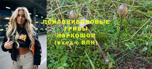 соль ск Калининец