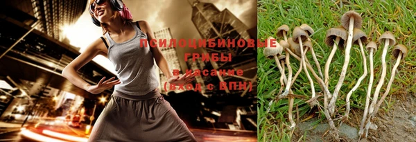 Альфа ПВП Фёдоровский