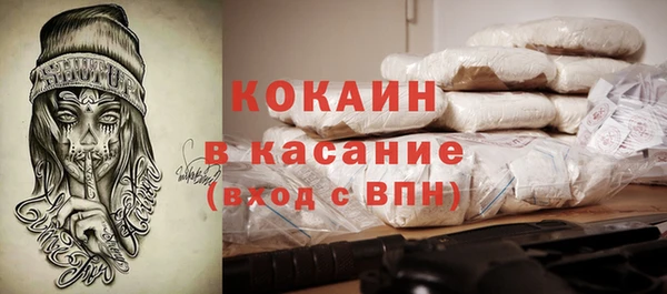 ГАЛЛЮЦИНОГЕННЫЕ ГРИБЫ Нестеровская