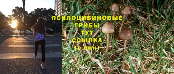 ГАЛЛЮЦИНОГЕННЫЕ ГРИБЫ Нестеровская