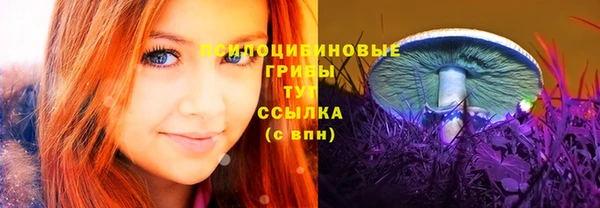 Альфа ПВП Фёдоровский